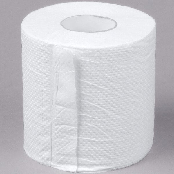 96 Rolls 2Ply Standard 500 Sheet Toilet Paper 400010105816 eBay