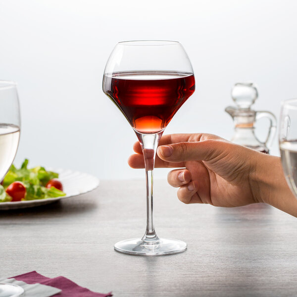 A hand holding a Chef & Sommelier wine glass filled with red wine.