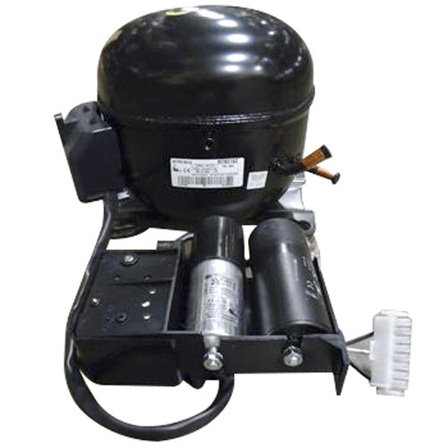 A True refrigeration compressor with black and white components.