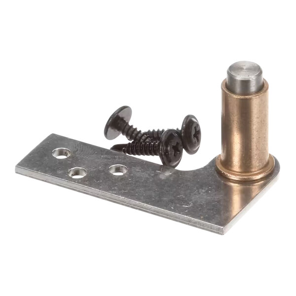 A metal hinge kit with screws.