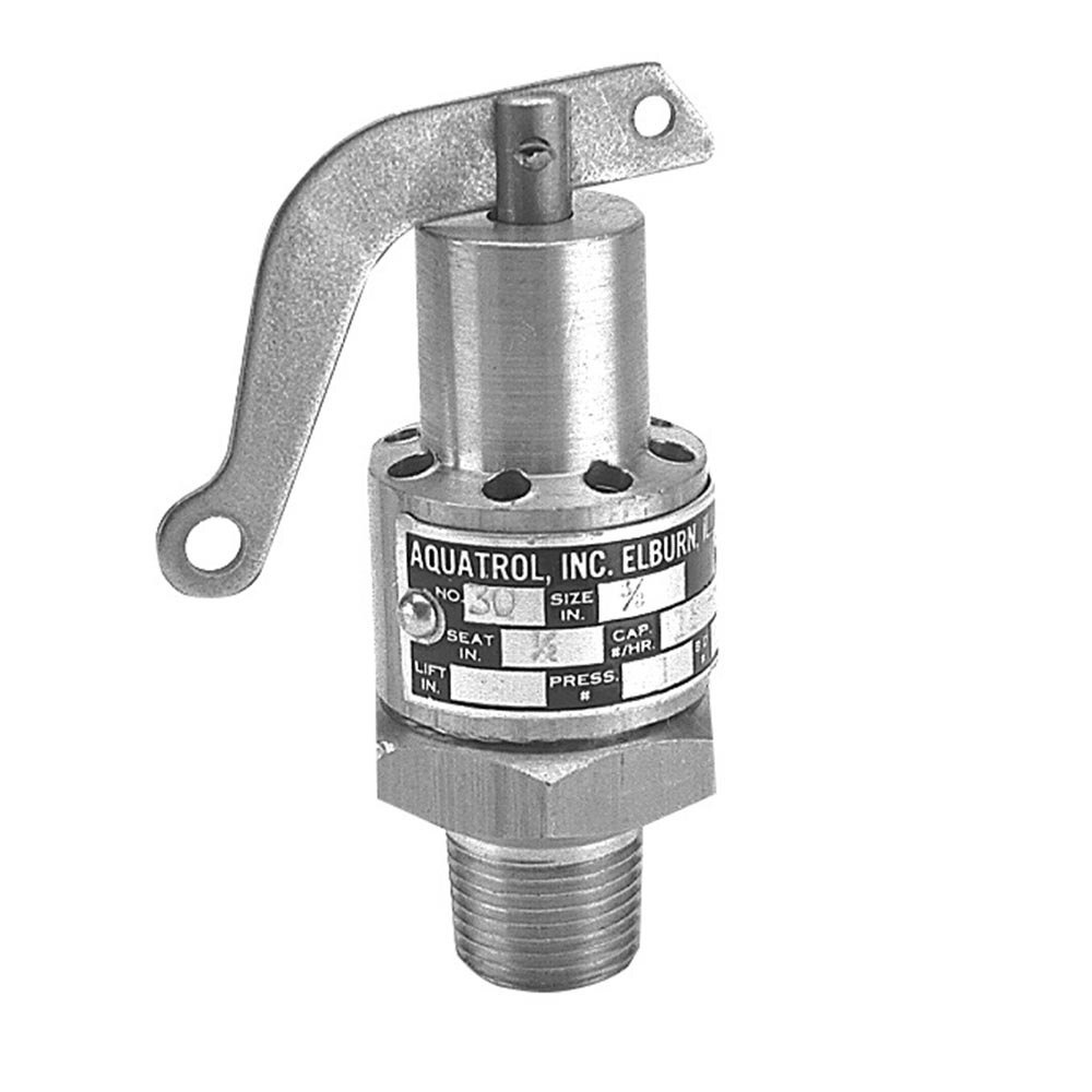 All Points 561203 1 PSI Steam Safety Relief Valve 3/8" NPT, 18 lb./Hour