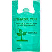 EcoChoice Biodegradable Plastic T-Shirt Bag - 1/6 Size - 500/Case