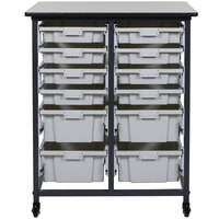 Storage Bin Carts