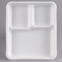 Foam School Trays and Pulp School Trays