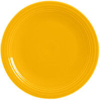 Homer Laughlin China Plates