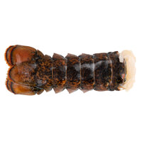 Wholesale Lobster Tails | Wholesale Crawfish | WebstaurantStore