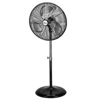 Fans