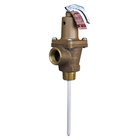 Pressure and Temperature Relief Valves