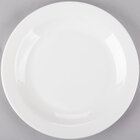 Glass Plates