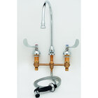 Medical, Lavatory, & Surgical Sink Faucets