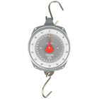 Hanging Scales
