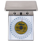 Portion Control Scales