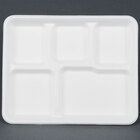Foam and Pulp School Trays