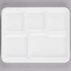 Foam School Trays and Pulp School Trays
