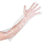 Disposable Poly Gloves