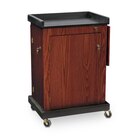 Presentation Equipment Carts