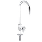 Deck Mount Faucets with Gooseneck Nozzles
