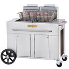 Outdoor Steamers and Outdoor Fryers