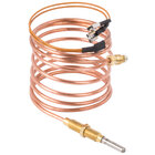 Pilot Thermocouples and Flame Sensors