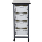 Storage Bin Carts