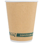 Biodegradable Paper Hot Cups and Lids