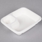 Molded Fiber / Pulp Food Trays