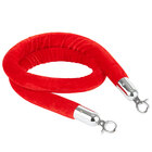 Stanchion Ropes