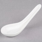Appetizer and Tasting Spoons