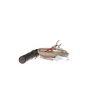 Pilot Thermocouples and Flame Sensors