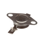 Hot Side Electric Thermostats
