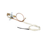 Hot Side Gas Thermostats