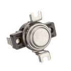 Hot Side Electric Thermostats