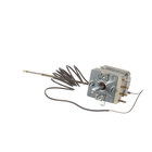 Hot Side Electric Thermostats