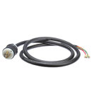 Cord and Plug Sets
