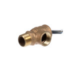 Pressure and Temperature Relief Valves