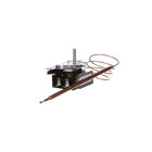 Hot Side Electric Thermostats