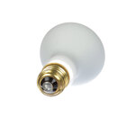 Commercial Light Bulbs