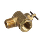 Steam Supply and Drain Valves