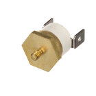 Hot Side Electric Thermostats
