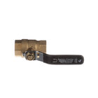 Steam Supply and Drain Valves