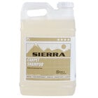 Carpet Cleaning Chemicals