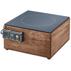 Countertop Induction Ranges and Induction Cookers