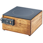 Countertop Induction Ranges and Induction Cookers