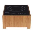 Countertop Induction Ranges and Induction Cookers