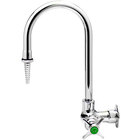 Laboratory Faucets and Gas Fixtures