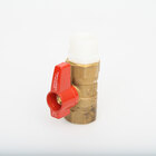 Steam Supply and Drain Valves
