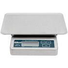 Portion Scales