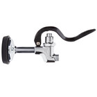 Pre-Rinse Spray Valves