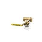 Gas Valves