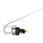 Hot Side Electric Thermostats
